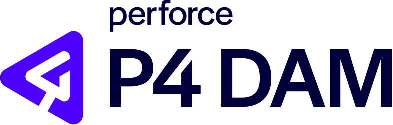 P4 DAM
